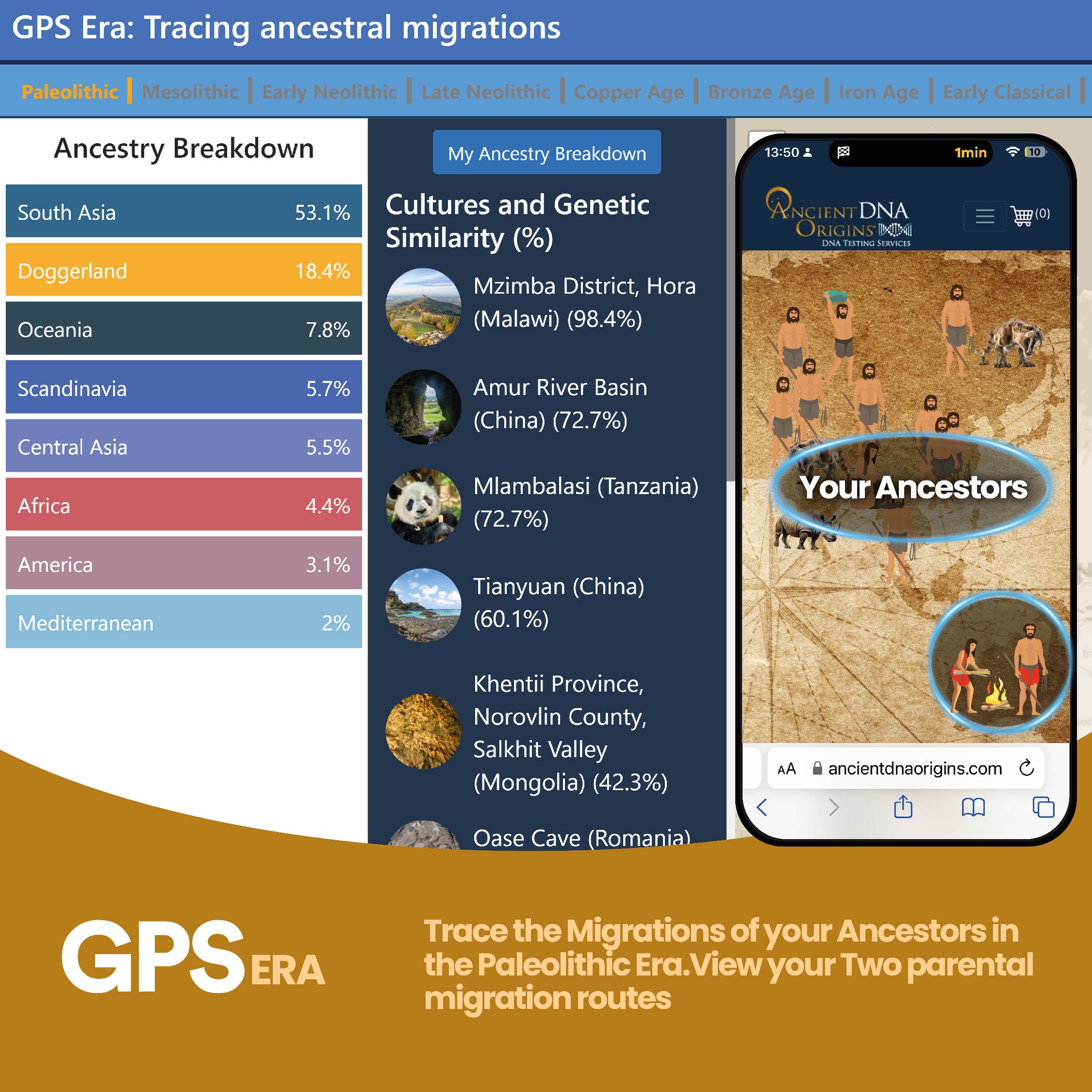 Trace the migration routes of your Paleolithic ancestors and view your two parental lines