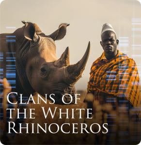 Clans of the White Rhinoceros
